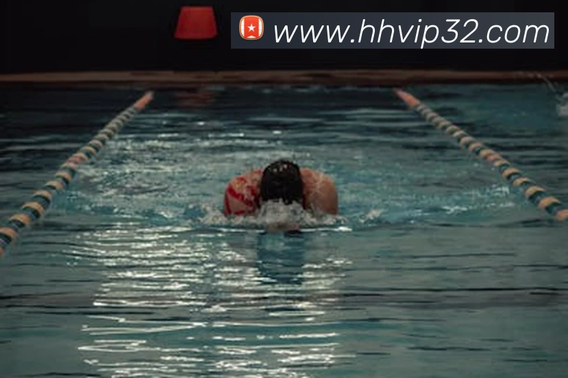 火狐体育官网首页服务体系